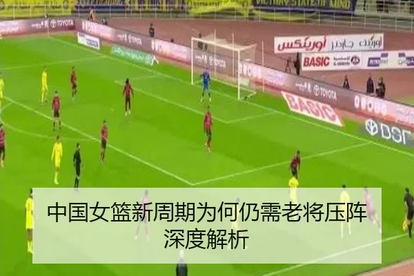 中国女篮新周期为何仍需老将压阵 深度解析