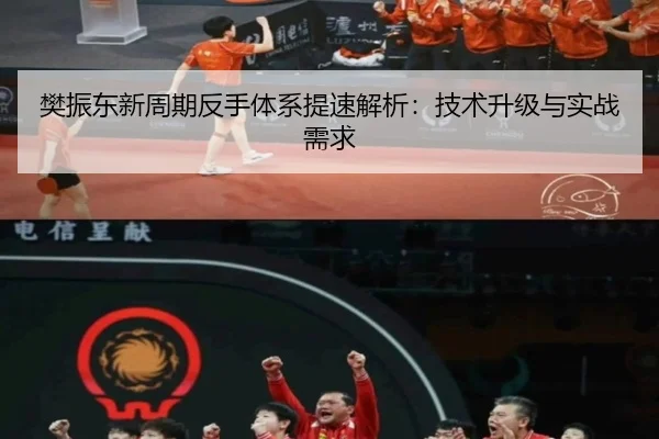 樊振东新周期反手体系提速解析：技术升级与实战需求